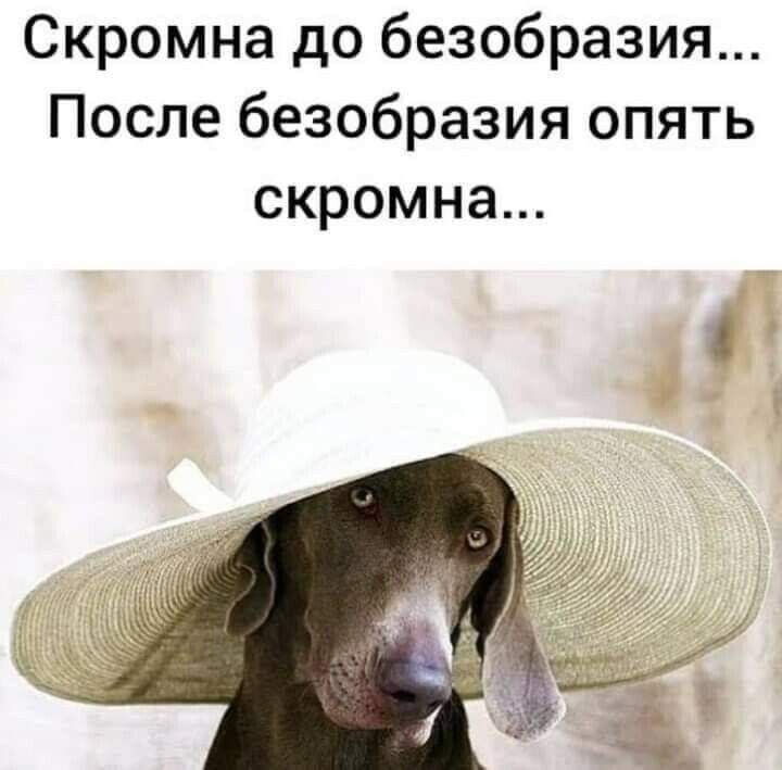 Скромна до безобразия После безобразия опять скромна