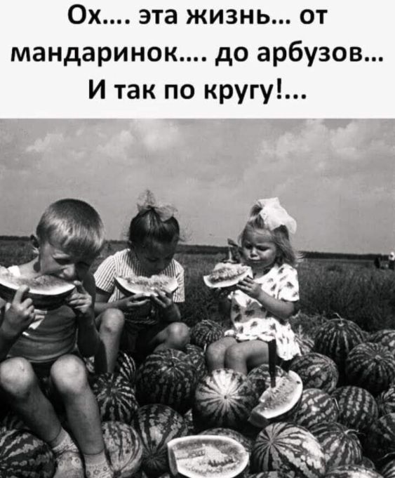 Ох эта жизнь от мандаринок до арбузов И так по кругу