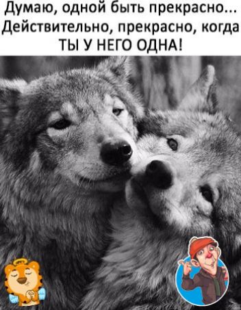 Думаю однои ыть прекрасно Действительно прекрасно когда ТЫ У НЕГО ОДНА
