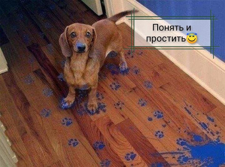 Ой