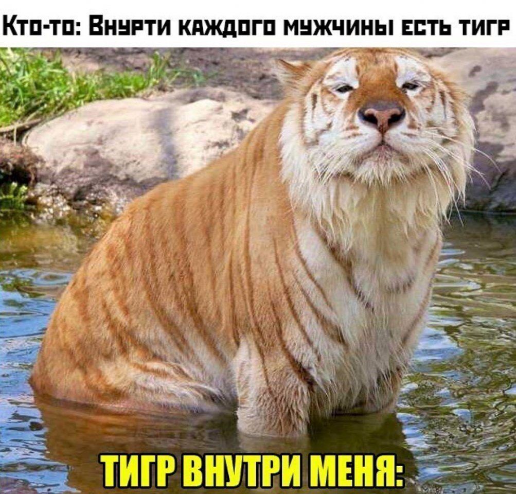 КТП ТП ВННРТИ КдЖд ГП МНЖЧИНЫ ЕСТЬ ТИГР