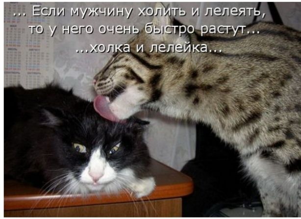Если игдсчищ ипйгь лепет