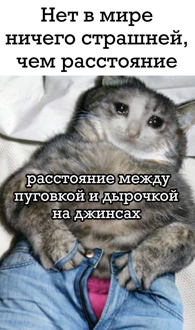 Нет в мире ничего страшней чем расстояние РаССтояние МеЖду пуговкой и дырбчкой на джинсах ъ А О _931 _ щ _ Ё в Ё 1