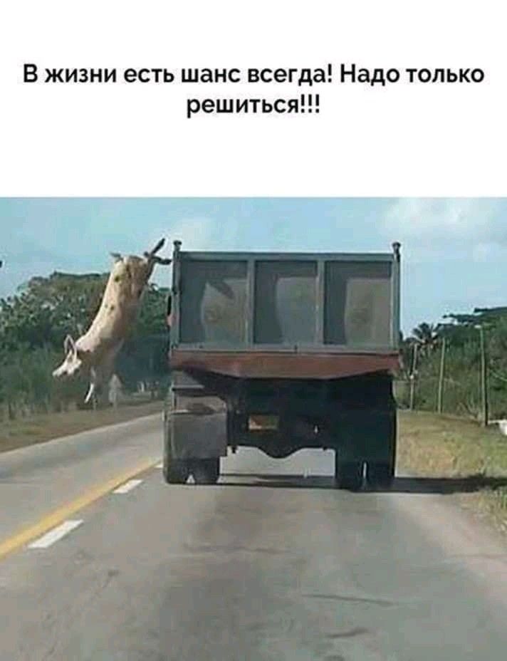 В жизни есть шанс всегда Надо то ко решиться