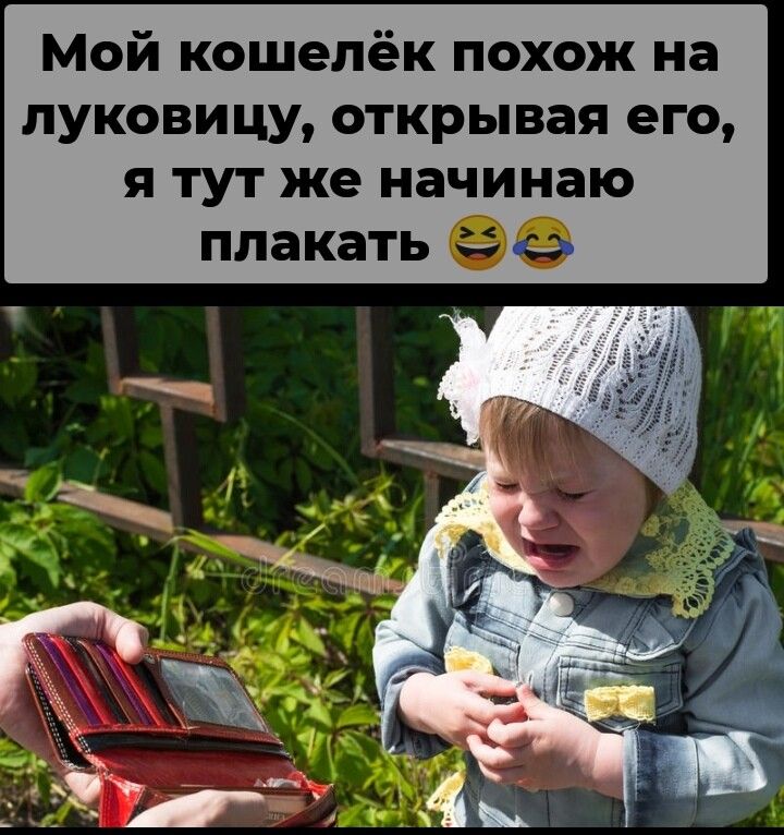 Мой кошелёк похож на луковицу открывая его я тут же начинаю плакать