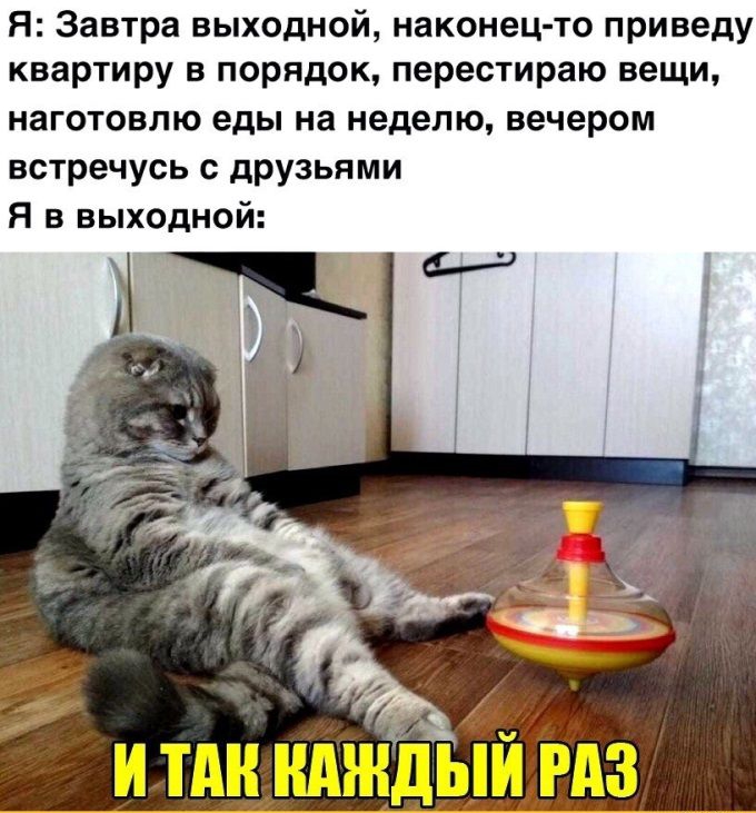 Я Завтра выходной наконец то приведу квартиру в порядок перестираю вещи наготовлю еды на неделю вечером встречусь с друзьями Я в выходной итднимндыйгдз