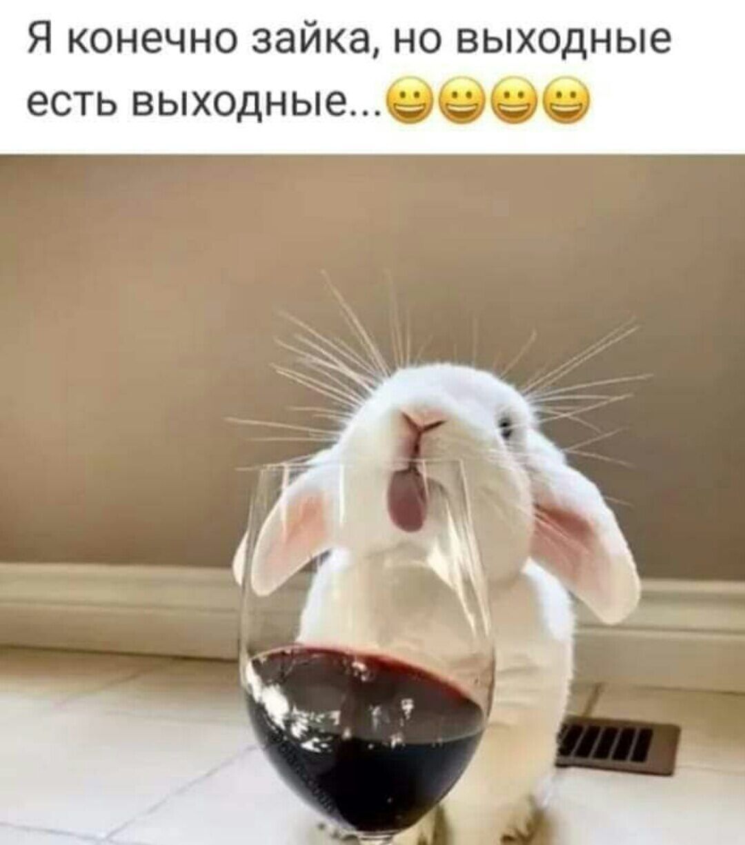 Я конечно зайка но выходные есть выходные