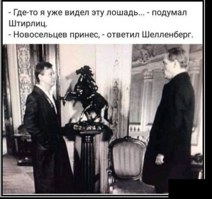 Гдето я уже видел эту лошадь подумал Штирлиц Новосельцев принес ответил Шелленберг