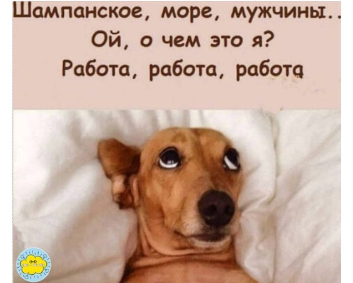 Шампанское море мужчины Ой а чем это я Работа работа работа