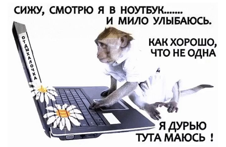 СИЖУ СМОТРЮ Я В НОУТБУК И МИЛО УЛЫБАЮСЬ КАК ХОРОШО что нв ОДНА И ц _ 1 я дУРЬЮ ТУТА МАЮСЬ