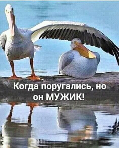 Когда гібругаписЁ но он МУЖИК