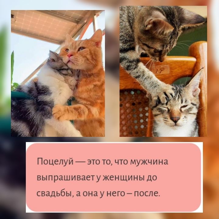 Поцелуй это то что мужчина выпрашиваету женщины до свадьбы а она у НЕГОЙ ПОСЛЕ