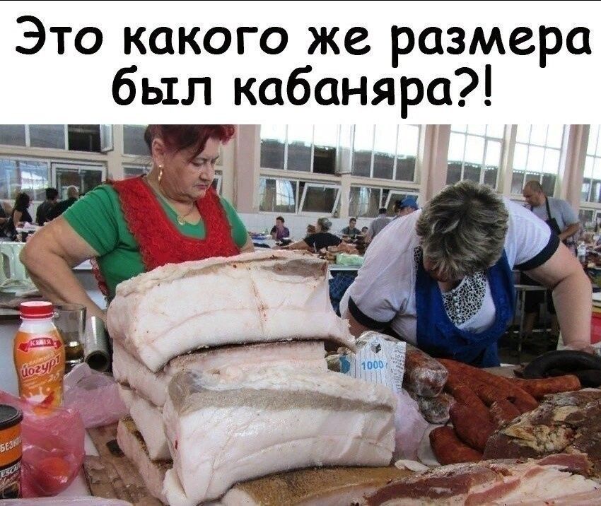 Это какого же размера был кабаняра