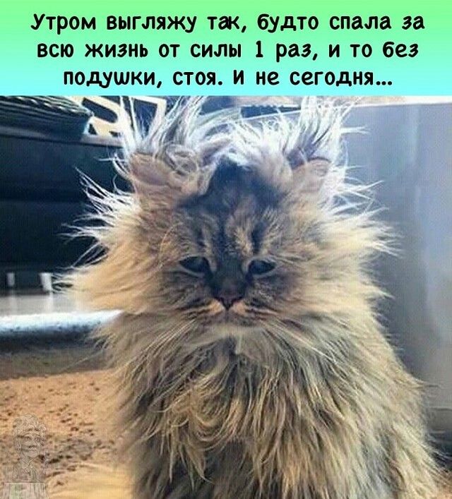 УТРОМ ВЫГПЯЖЭ ТЖ будто спала за ВСЮ ЖИЗНЬ ОТ СИЛЫ 1 раз И ТО без ПОДУШКИ СТОЯ И не сегодня