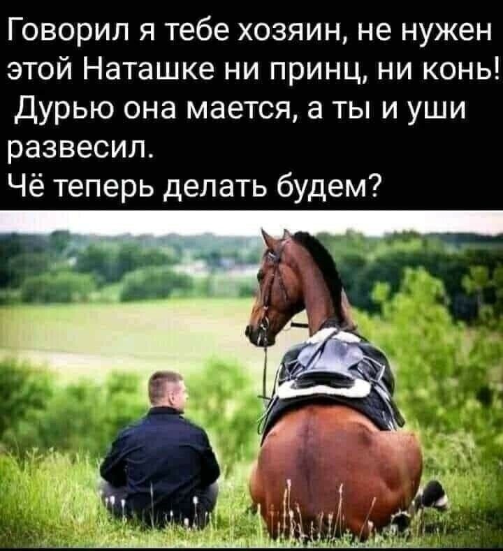 Говорил я тебе хозяин не нужен этой Наташке ни принц ни конь Дурью она мается а ты и уши развесил Чё теперь делать будем