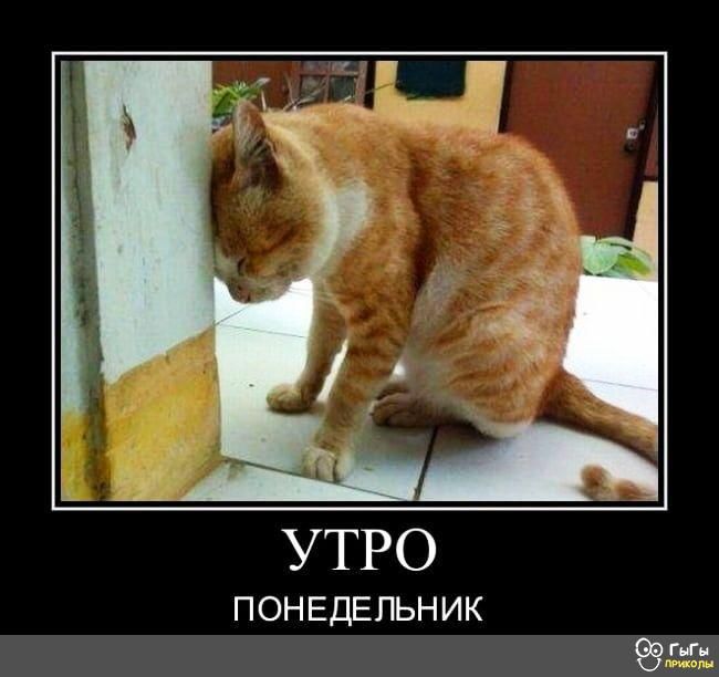 УТРО или