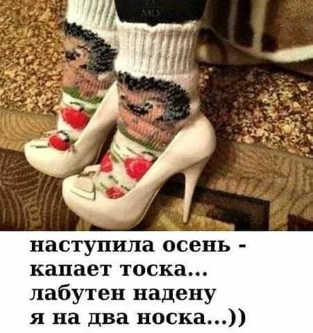 наступила осень капает тоска пабутен надену я на два носка