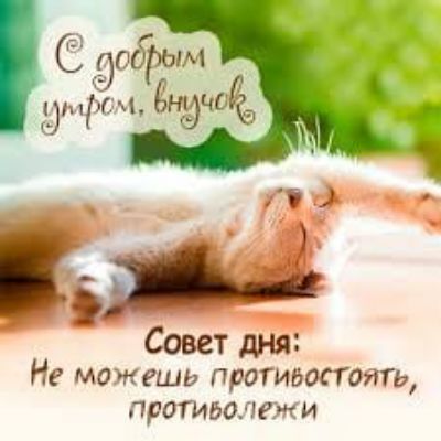 Совет дня Не можешь противостоят ПРИИВО УФК И