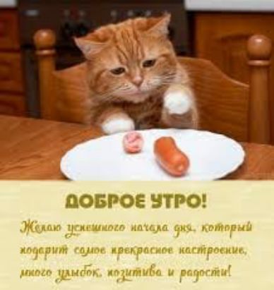 ЦОБРОЕ ВТРО Чп угпУАм