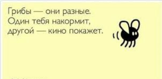 Грибы они разные Один тебя накормит другой кино покажет