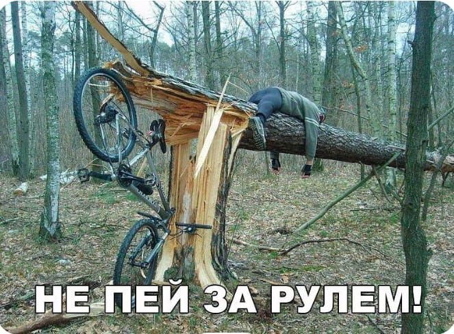 НЕ ПЕЙ ЗА РУЛЕМ!