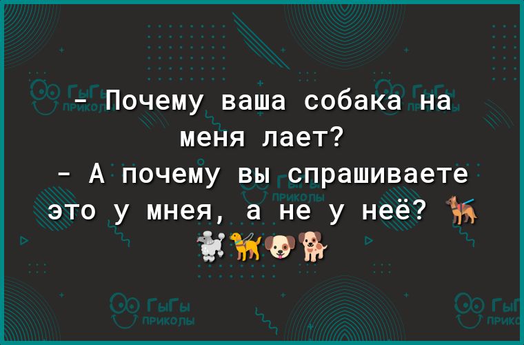 Почему ваша собака на меня лает А почему вы спрашиваете это у мнея а не у неё ЧБ НЙМЭЁ