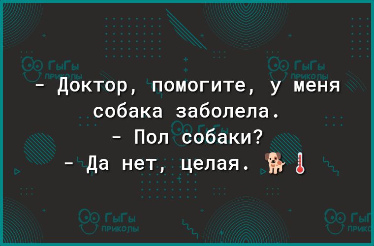 доктор помогите у меня собака заболела Пол собаки Да нет целая 3
