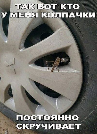 _ КРУЧ ИВАЕТ