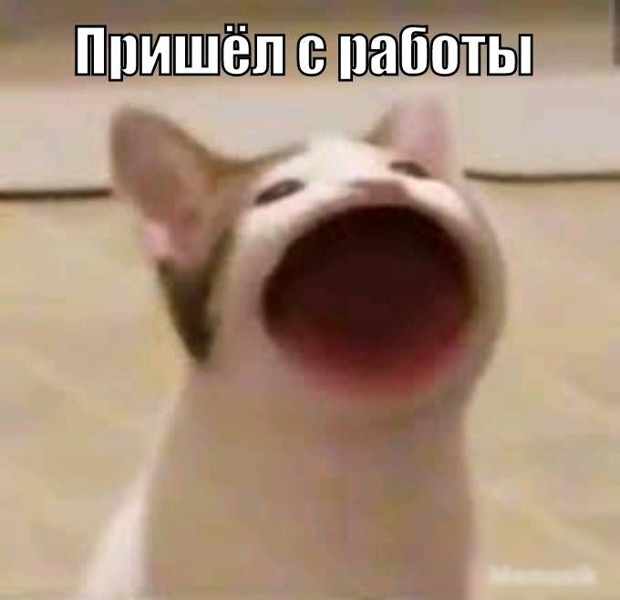 Пришете аботь! Ф к .