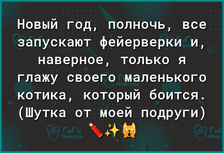 Новый год полночь все запускают фейерверки и наверное только я глажу своего маленького котика который боится Шутка от моей подруги шт