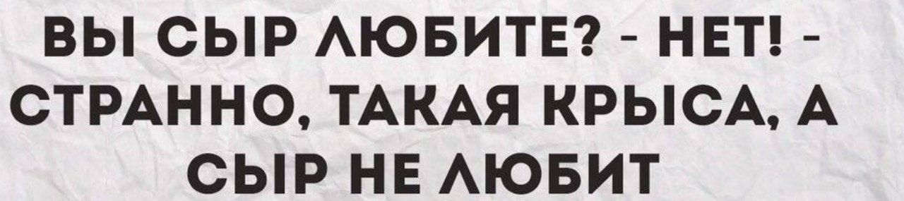 ВЫ СЫР АЮБИТЕ НЕТ СТРАННО ТАКАЯ КРЫСА А СЫР НЕ АЮБИТ