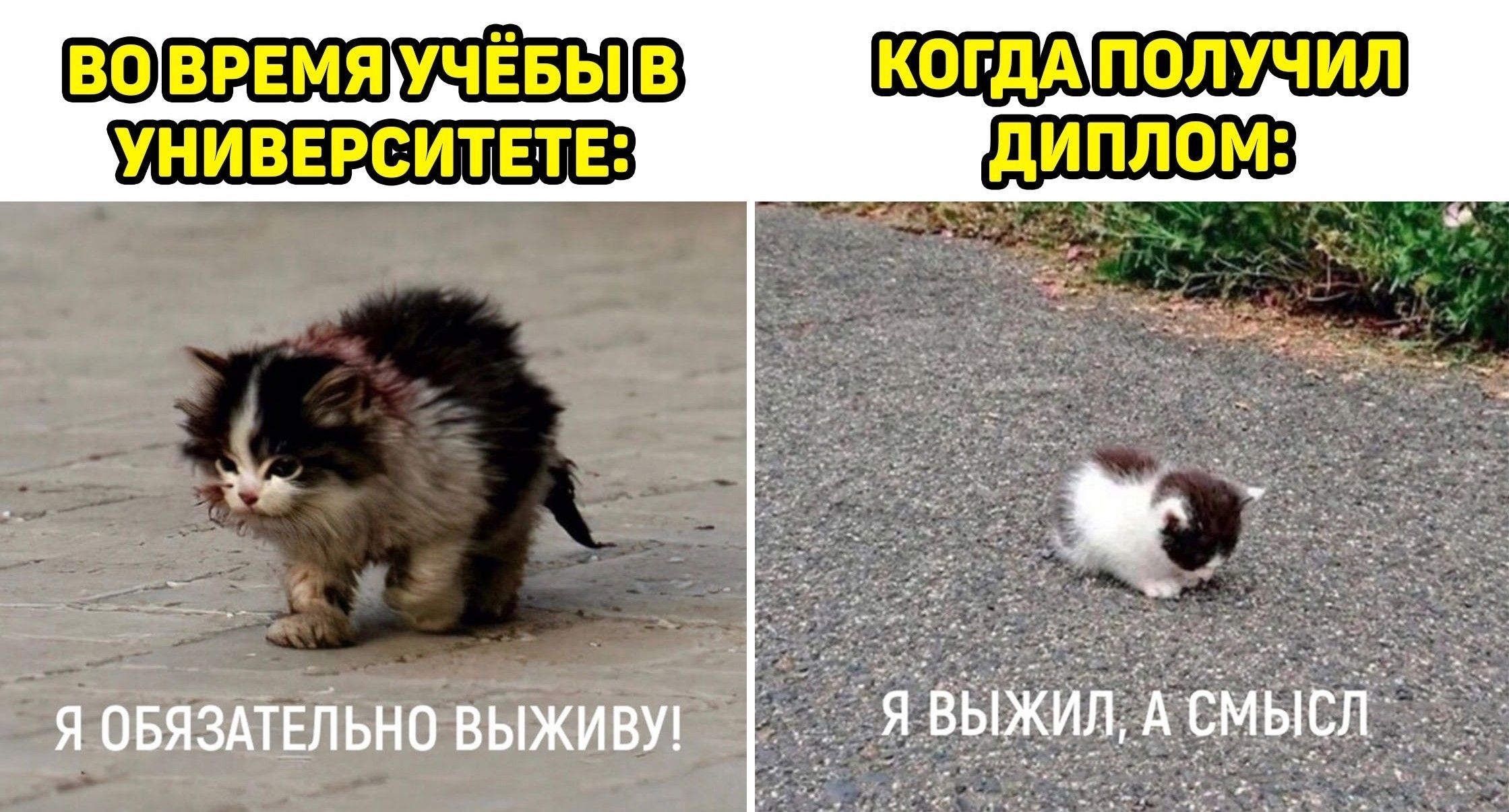 Я обязательно выживу!