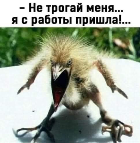 Не трогай меня я с работы пришла