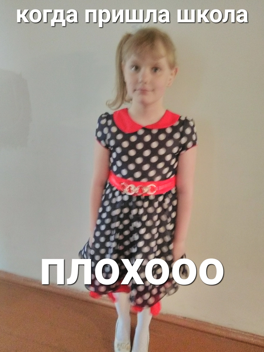когда пришла школа