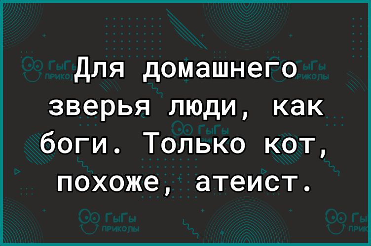 Для домашнего зверья люди как боги Только кот похоже атеист
