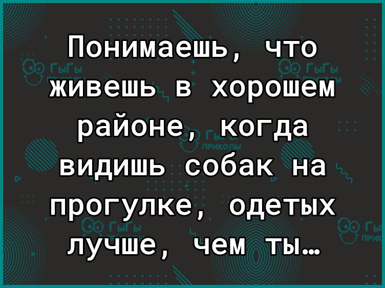 Понимаешь что живешь в хорошем районе когда видишь собак на прогулке одетых лучше чем ты