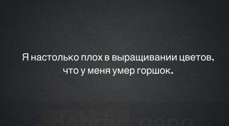 Я настолько плох в выращивании цветов что у меня умер горшок