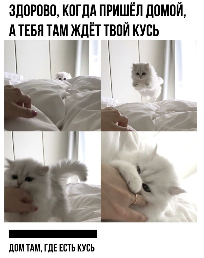 здорово когдд пришёл домой А ТЕБЯ ТАМ ждЁт твой кусь г ППМ ТАМ ГДЕ ЕСТЬ КУБЬ