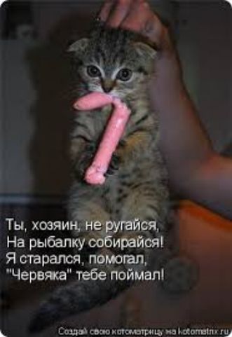 Тыховяи _ Нарыбалку ирайоя _ 91 страны помогал Червжа тебе поймзл Ещышшишшюиюивъщишнш