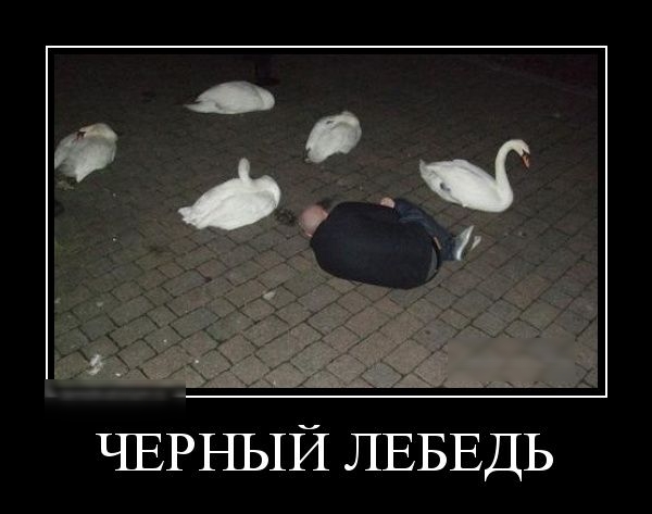 ЧЕРНЫЙ ЛЕБЕДЬ