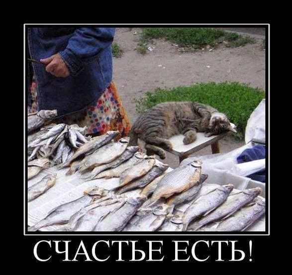 СЧАСТЬЕ ЕСТЬ