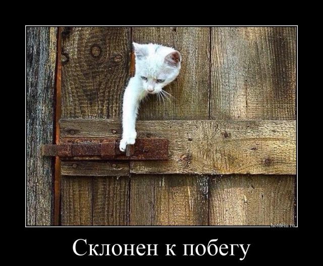 Склонен к побегу