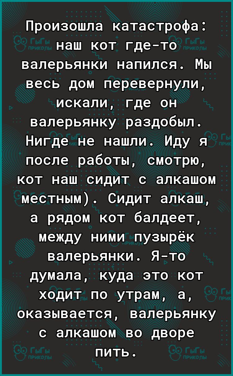 Произошла катастрофа наш кот гдето валерьянки напился Мы весь дом перевернули искали где он валерьянку раздобыл Нигде не нашли Иду я после работы смотрю кот наш сидит с алкашом местным Сидит алкаш а рядом кот балдеет между ними пузырёк валерьянки Ято думала куда это кот ходит по утрам а оказывается валерьянку с алкашом во дворе пить