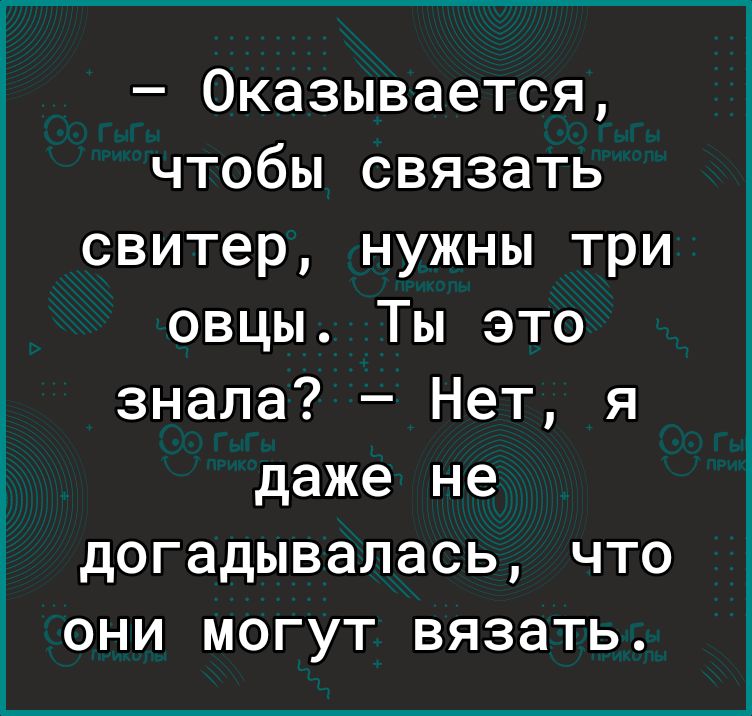Оказывается чтобы связать свитер нужны три овцы Ты это знала Нет я даже не догадывалась что они могут вязать