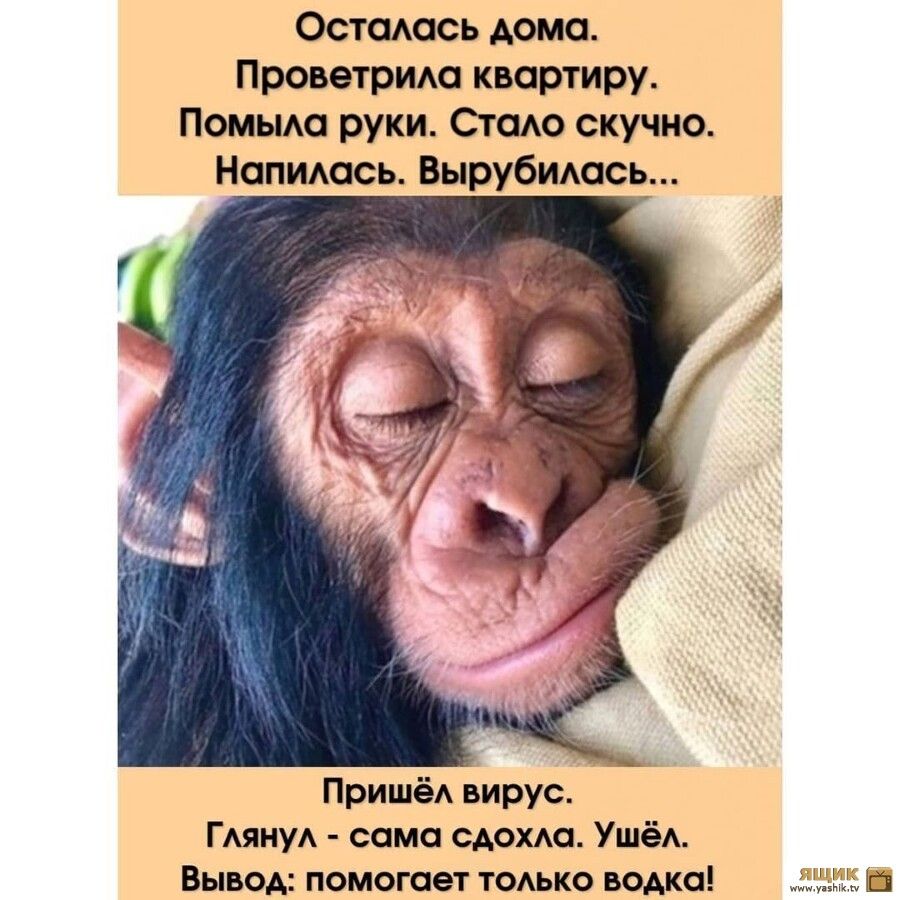 Остаюсь Аомо Проветрию квартиру Помьмо руки Стою скучно Нопишсь Вырубидась ПришёА вирус Гяну само сдохда УшёА Вывод помогает тоько водка