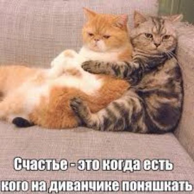 вшв_