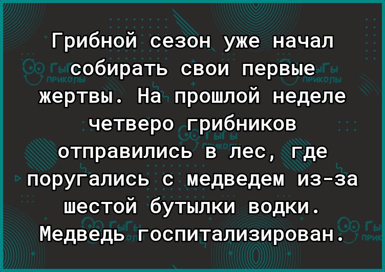Грибной сезон уже начал собирать свои первые жертвы На прошлой неделе четверо грибников отправились в лес где поругались с медведем изза шестой бутылки водки Медведь госпитализирован