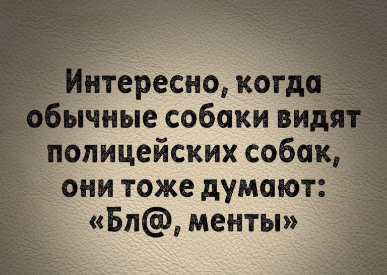 опицейских соба они тоже думают Бп менты