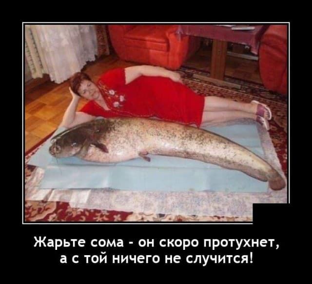 Жарьте сома он скоро протухнет а с той ничего не случится