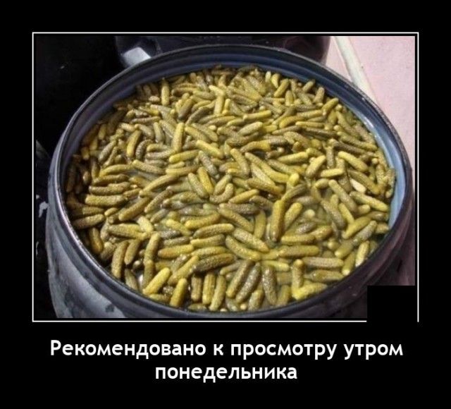 Рекомендовано к просмотру утром понедельника